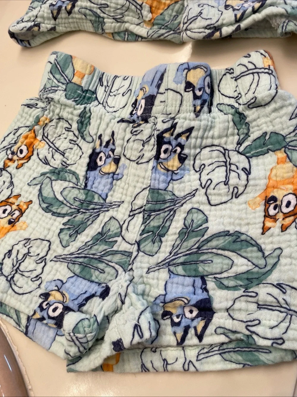 Lot of 2 Boys Short Sleeve Shirts & Shorts Sets Sz 4: Bluey And Caribbean Joe